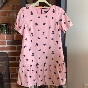 Pink Ann Taylor Spring Dress